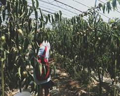 QQ图片20180722181808