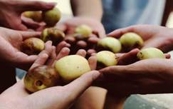 QQ图片20180722181931